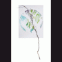 images/Dessin/image06.gif