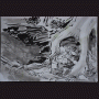 images/Dessin/image24.gif
