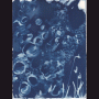 images/Dessin/image26.gif