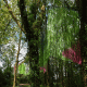 images/Errance-Racinesendentelles/image02.gif