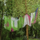 images/Errance-Racinesendentelles/image03.gif