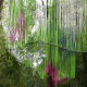 images/Errance-Racinesendentelles/image05.gif