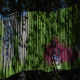 images/Errance-Racinesendentelles/image08.gif