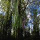 images/Errance-Racinesendentelles/image09.gif