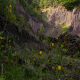 images/Errance-Racinesendentelles/image14.gif