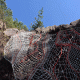 images/Errance-Racinesendentelles/image17.gif