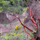 images/Errance-Racinesendentelles/image18.gif