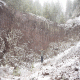 images/Errance-Racinesendentelles/image20.gif