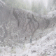 images/Errance-Racinesendentelles/image21.gif