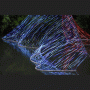 images/Jardindecumes/image22.gif