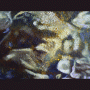 images/Moutons/image32.gif