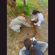 images/VOLCAN/image17.gif