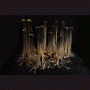 images/ceramique/image05.gif