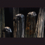 images/ceramique/image06.gif
